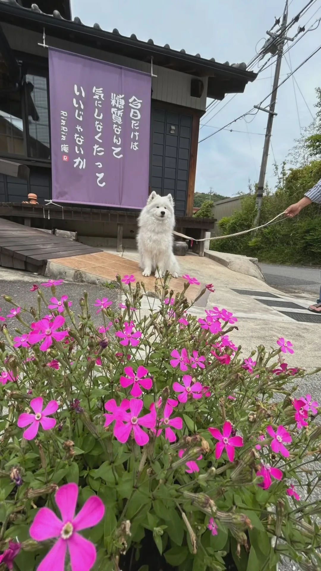 【薔薇のブーケパフェを食べに】