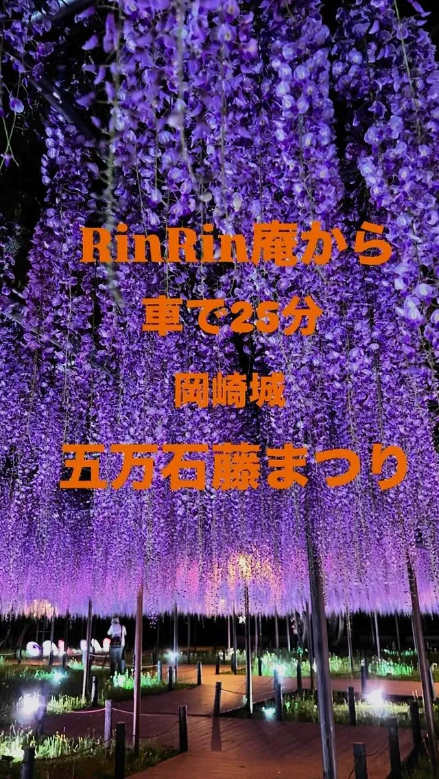 【五万石藤まつり】  @castle_castle_5151...