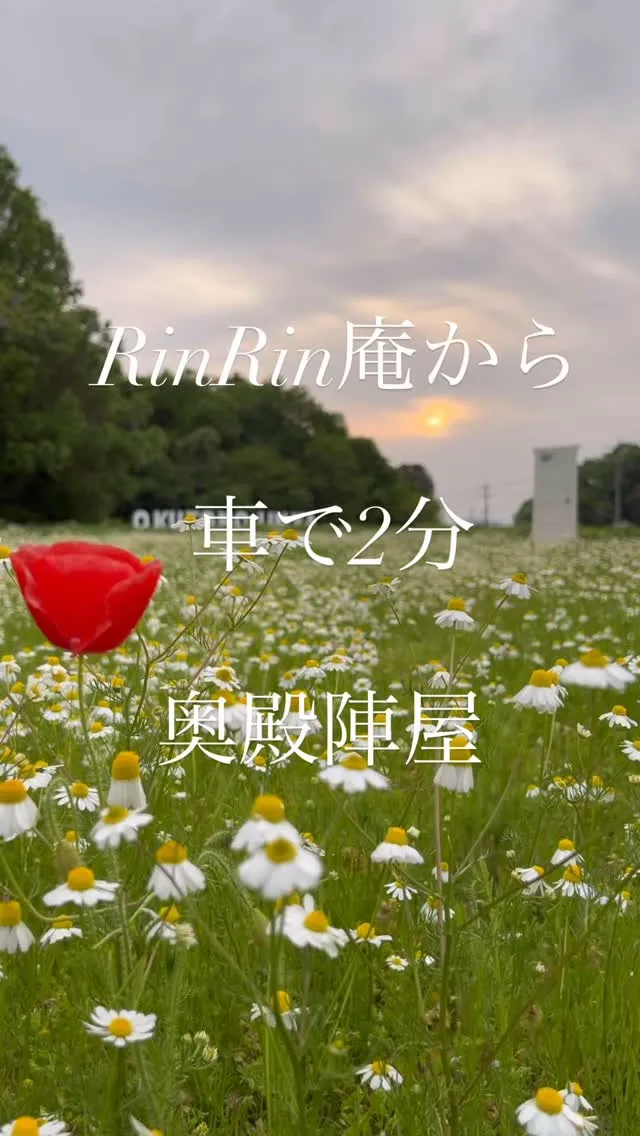 【RinRin庵から車で2分】　@rinrinan_kaki...