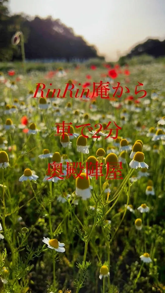 【RinRin庵から車で2分】　@rinrinan_kaki...