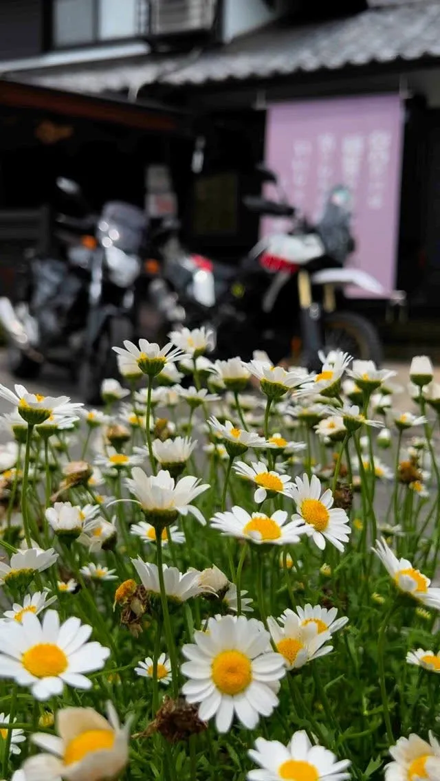 【バイクでスイーツ】 @rinrinan_kakigori 